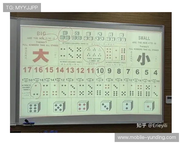 澳门赌场骰宝赔率详解让你轻松掌握游戏赢取技巧提升赢钱概率的方法
